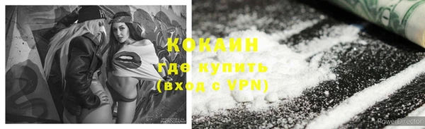 дживик Алексин