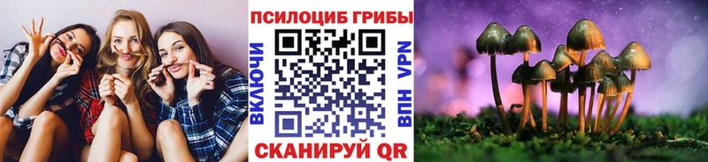 где продают наркотики Сорочинск Галлюциногенные грибы прущие грибы